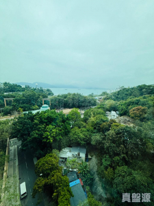 177677789314caa562-2ee6-4f75-b17b-b8d638ec8ed9.jpeg 帝濤灣 浪琴軒 6座 - 28NTS – 香港北部都會區