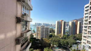容龍居 - 28NTS – 香港北部都會區