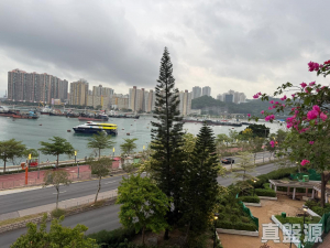 麗城花園 3期 4座 - 28NTS – 香港北部都會區