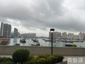 麗城花園 3期 4座 - 28NTS – 香港北部都會區