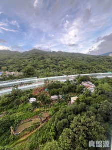 麗城花園 2期 9座 - 28NTS – 香港北部都會區