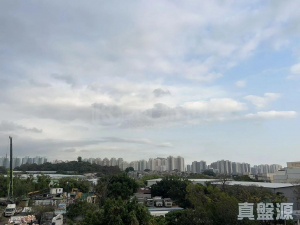 177677968798c074a7-e07c-4bcf-9a49-8a57eafa3ab0.jpeg 深灣畔 16座 - 28NTS – 香港北部都會區