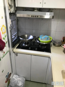 17767799273b9da1df-f4c3-4427-90a5-2522fe9421b0.jpeg 新葵興花園 A座 - 28NTS – 香港北部都會區