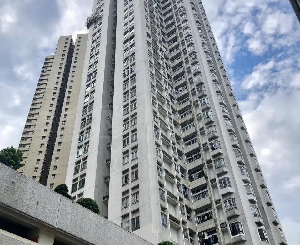 新葵興花園 A座 - 28NTS – 香港北部都會區