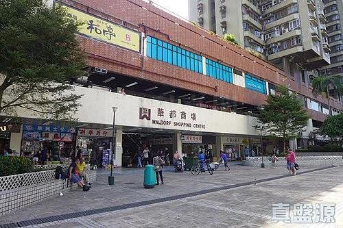 華都花園 4座 - 28NTS – 香港北部都會區
