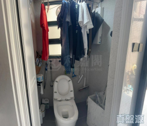 1776782552a16604a9-cd28-418e-bacf-e9e0d10799c0.jpeg 采茵軒 9座 - 28NTS – 香港北部都會區