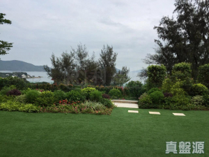 17767836616047b859-ecd8-4eaf-9c16-6dd7ba1e2dc7.jpeg BOTANICA BAY - 28NTS – 香港北部都會區