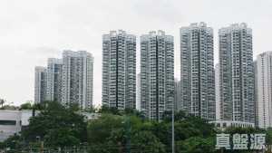 177678439591824873-de01-4fd0-b8f3-0fc9818f7cab.jpeg 嘉湖山莊 1期 樂湖居 5座 - 28NTS – 香港北部都會區