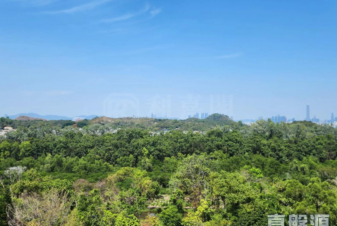 WETLAND SEASONS BAY 1期 2A座 - 28NTS – 香港北部都會區