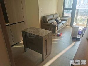 177678852469b0b2a6-1e48-47b8-840e-961e47bdcd60.jpeg WETLAND SEASONS PARK 2期 3座 - 28NTS – 香港北部都會區