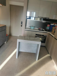 1776788528e3862d63-3850-444c-9ce8-30eac5a29787.jpeg WETLAND SEASONS PARK 2期 3座 - 28NTS – 香港北部都會區