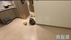 17767894489214f433-4764-47eb-adb0-819f6ee26547.jpeg WETLAND SEASONS BAY 2期 1B座 - 28NTS – 香港北部都會區