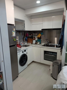 愉景新城 1期 4座 - 28NTS – 香港北部都會區