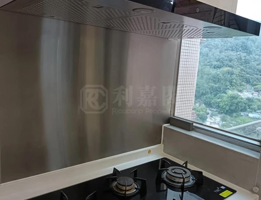 愉景新城 1期 4座 - 28NTS – 香港北部都會區