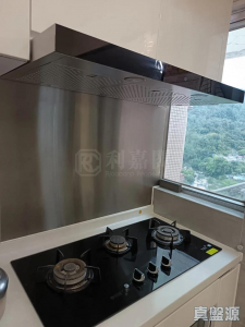 愉景新城 1期 4座 - 28NTS – 香港北部都會區