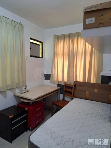 17767901080663c6e4-9815-4623-864c-31365f11d6bf.jpeg 海霸村東北台 - 28NTS – 香港北部都會區