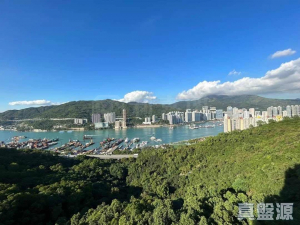 薈藍 - 28NTS – 香港北部都會區