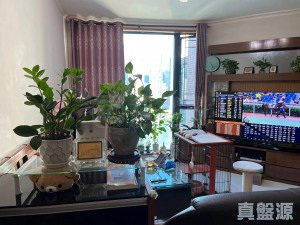 17767909539ad2c624-43c4-4451-992b-3f0f0e8f5ab9.jpeg 灝景灣 2期 6座 - 28NTS – 香港北部都會區
