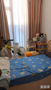 溱林 7座 - 28NTS – 香港北部都會區