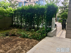 爾巒 - 28NTS – 香港北部都會區