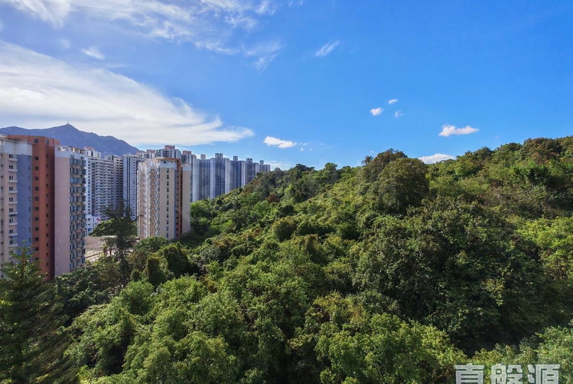 容龍居 4座 - 28NTS – 香港北部都會區