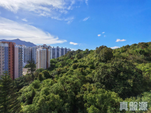 容龍居 4座 - 28NTS – 香港北部都會區