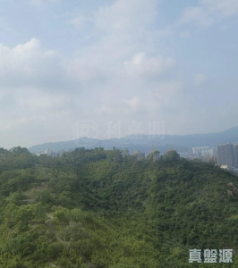明翹匯 2A座 - 28NTS – 香港北部都會區