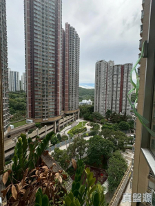 青怡花園 3座 - 28NTS – 香港北部都會區
