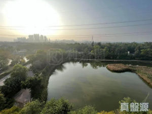 17767928033ee8295a-e65e-4ffe-a358-c831c334fe19.jpeg 峻巒 1C期 PARK YOHO SICILIA 1B座 - 28NTS – 香港北部都會區