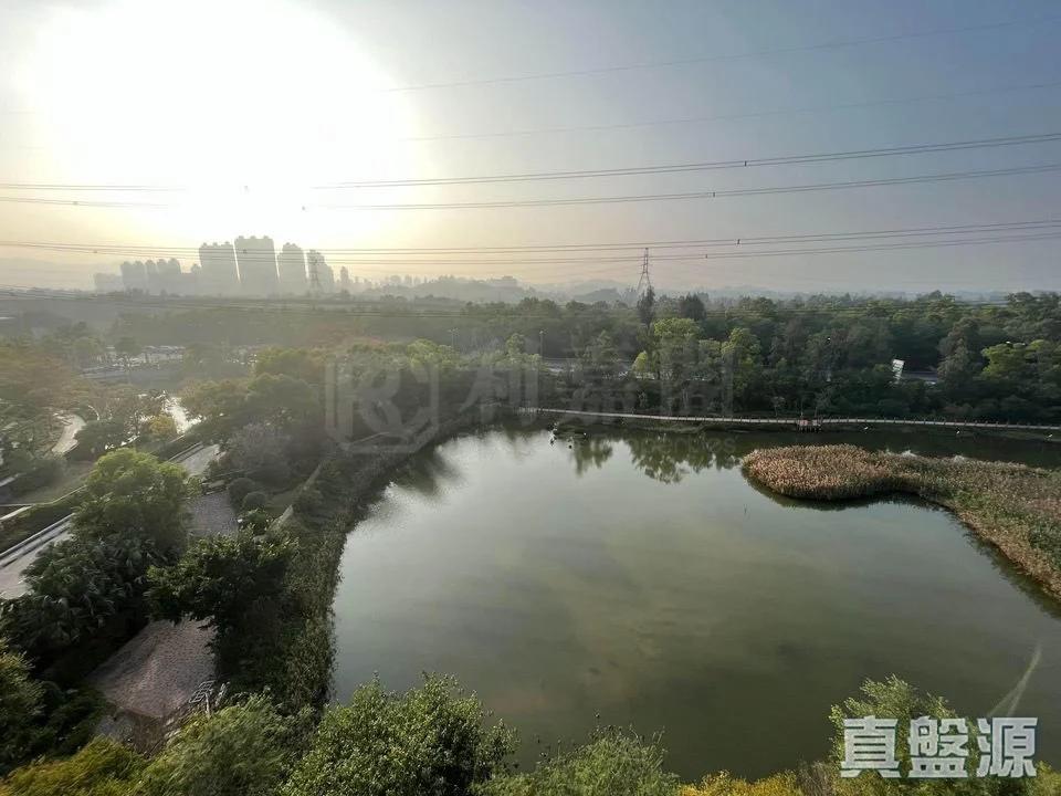 峻巒 1C期 PARK YOHO SICILIA 1B座 - 28NTS – 香港北部都會區