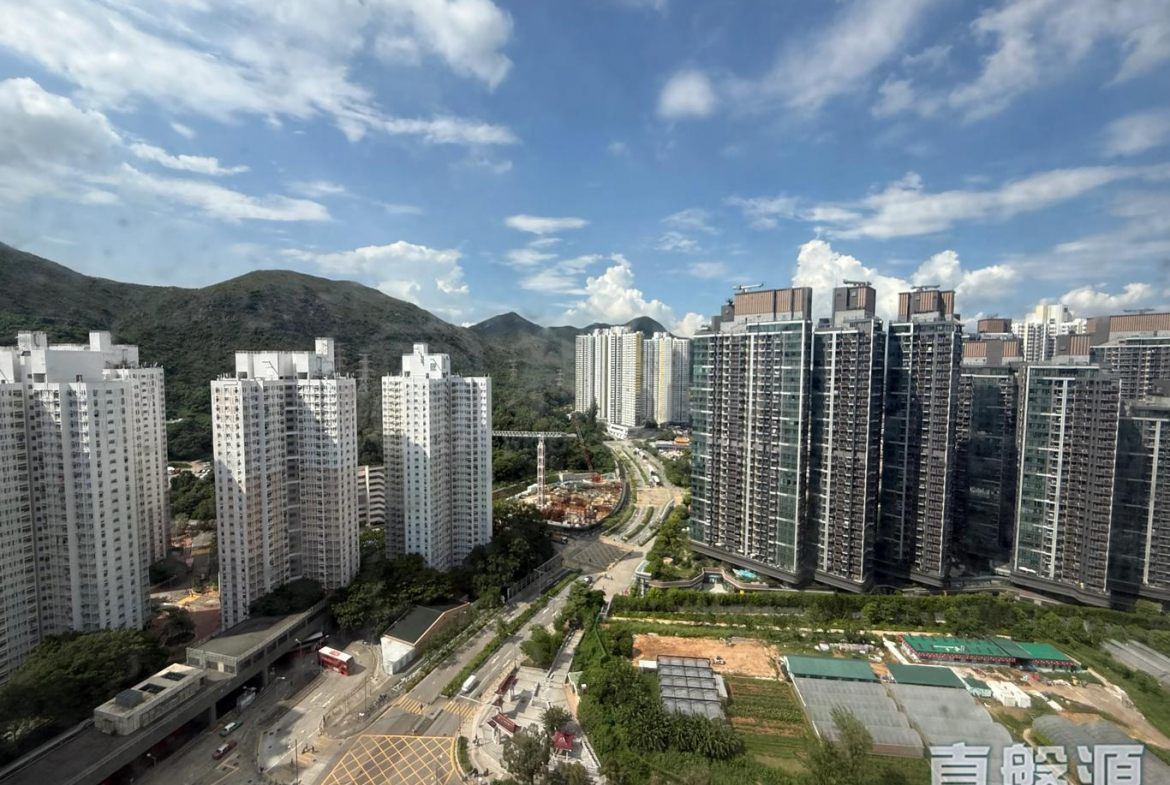 盈豐園 1座 - 28NTS – 香港北部都會區
