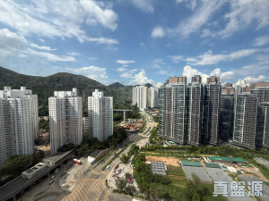 盈豐園 1座 - 28NTS – 香港北部都會區