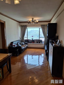 17767939310841ec09-5942-422e-a9d6-0e66e8d6f9e0.jpeg 盈翠半島 2期 8座 - 28NTS – 香港北部都會區