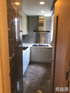 1776795215e3bf9dcd-f5b3-4142-ac0d-de94bc56ff61.jpeg 星堤 10座 - 28NTS – 香港北部都會區