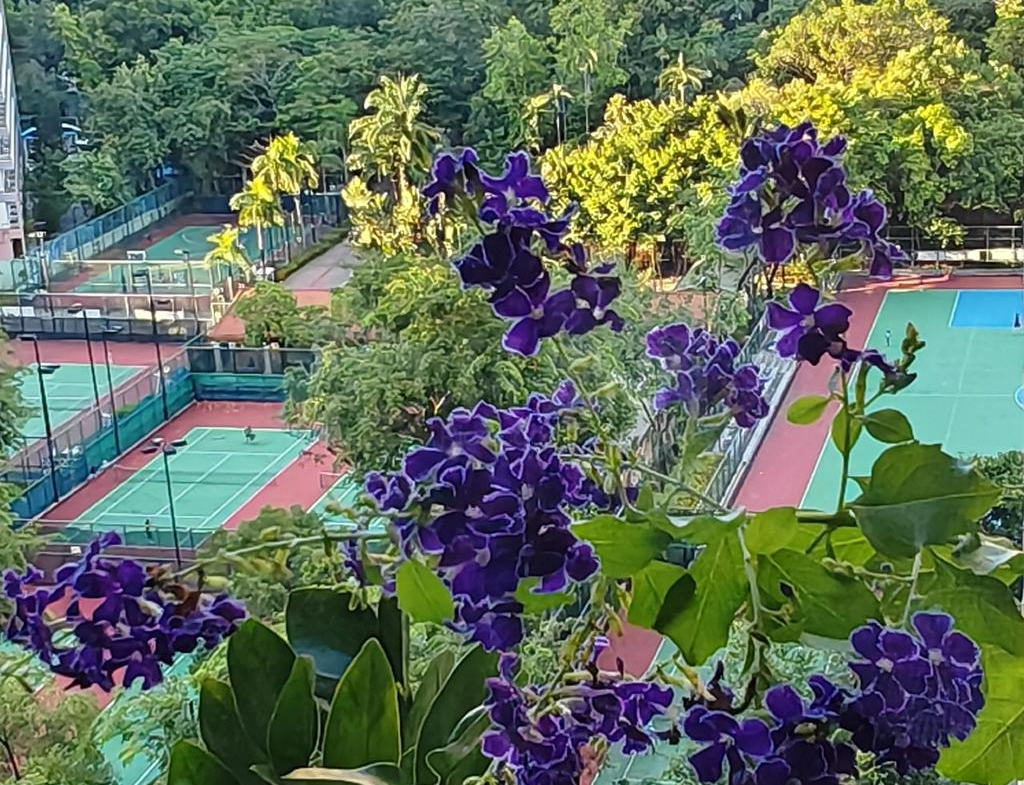 青怡花園 3座 - 28NTS – 香港北部都會區