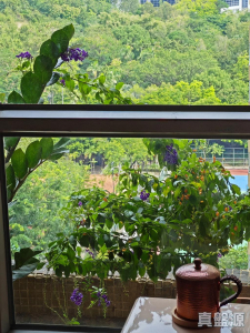 青怡花園 3座 - 28NTS – 香港北部都會區