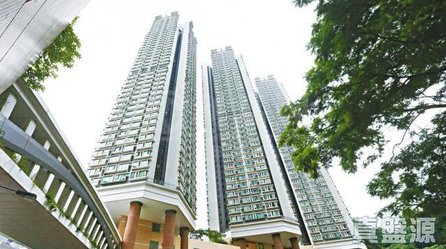 翠豐臺 1座 - 28NTS – 香港北部都會區