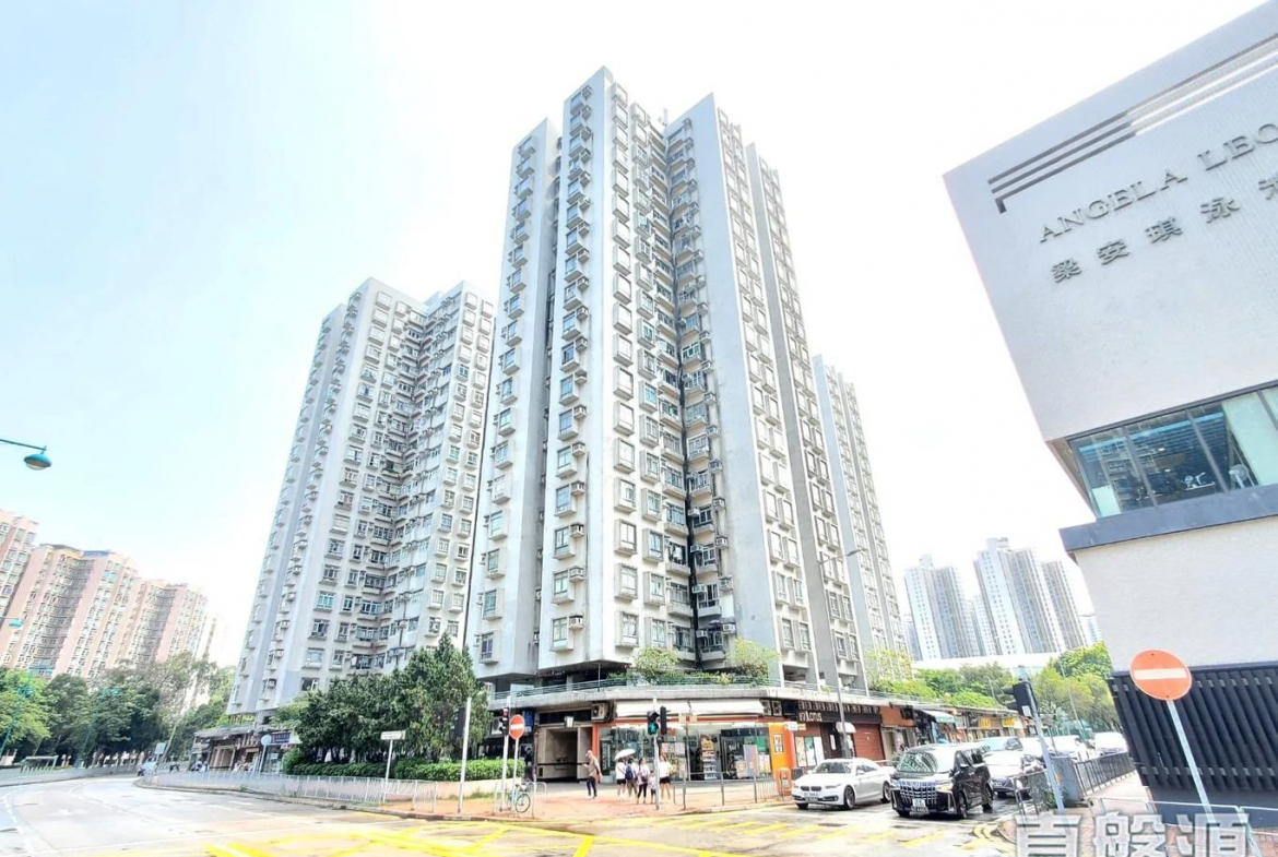 彩華花園 A座 - 28NTS – 香港北部都會區