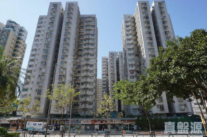 1776799495b5f0550e-c34b-45ef-8657-6084a3299711.jpeg 彩華花園 A座 - 28NTS – 香港北部都會區