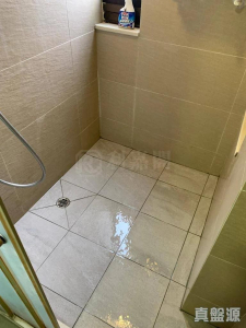 177679964705b4e450-c8a0-4b47-b8d7-d7d3c934e0b3.jpeg 青華苑 華欣閣 (E座) - 28NTS – 香港北部都會區