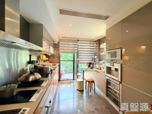 17767996866a253795-224e-4a9e-a257-9e3f6db08b25.jpeg 星堤 - 28NTS – 香港北部都會區