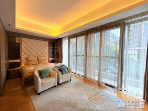 17767996880593b88d-b66a-46f7-b3dc-04254ff92722.jpeg 星堤 - 28NTS – 香港北部都會區