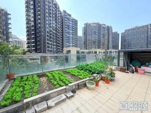 1776799700e51b6d5a-ff99-4773-b9a2-af882dc37837.jpeg 星堤 - 28NTS – 香港北部都會區