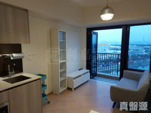 映御 1座 - 28NTS – 香港北部都會區