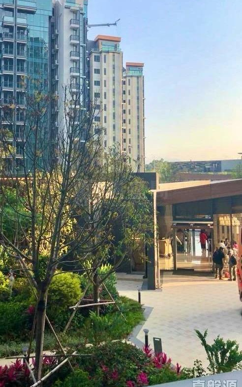 滿名山 滿庭 6座 - 28NTS – 香港北部都會區