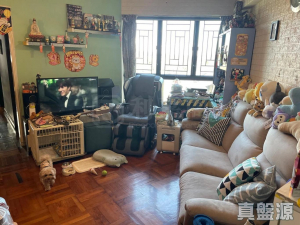 17768001385d2e9d0c-076e-4327-847d-29dcd06a0964.jpeg 御豪山莊 7座 - 28NTS – 香港北部都會區