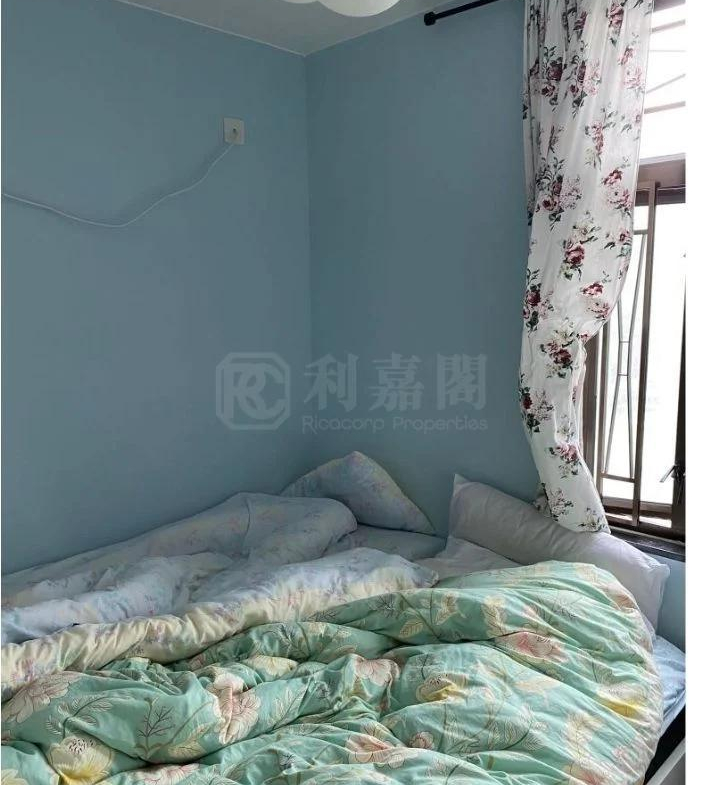 綠楊新邨 F座 - 28NTS – 香港北部都會區