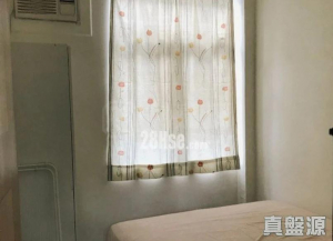 龍珠島別墅 F7座 - 28NTS – 香港北部都會區