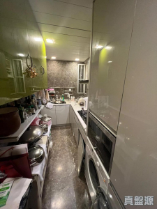 177680218593803f88-b504-4e9c-ba2f-b3d3d60c226a.jpeg 星堤 3座 - 28NTS – 香港北部都會區