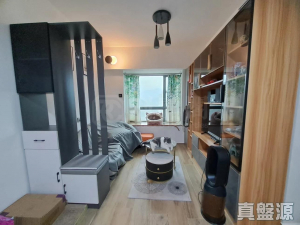 浪翠園 1期 1座 - 28NTS – 香港北部都會區